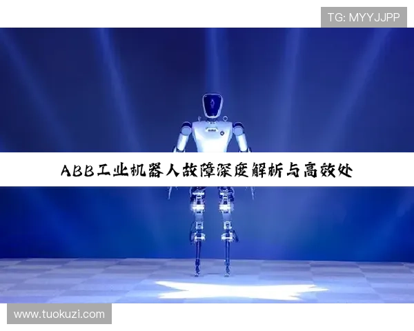 畅享尊龙凯时网站登录入口提供的多元化服务与活动